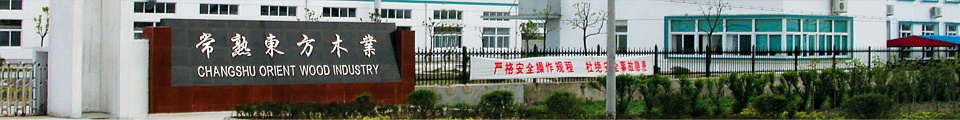 走进隆力奇